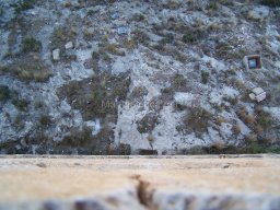 Castillo de Mula 2010